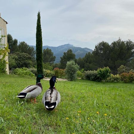 La Maison Perchee Auriol Bagian luar foto