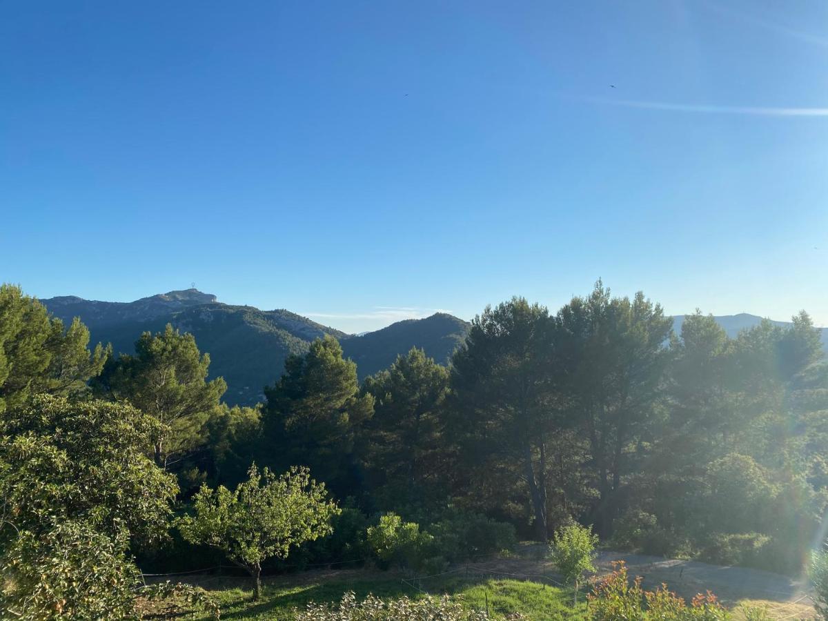 La Maison Perchee Auriol Bagian luar foto